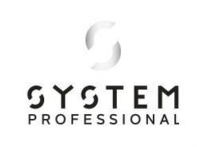 System Professional