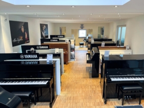 Pianos en location (à partir de 2 € par jour)