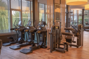 PIDAL fit 2.0