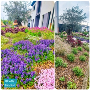 Conception & création de jardins