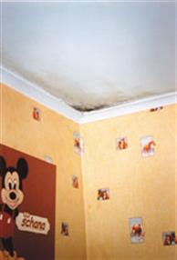 Moisissure sur les murs