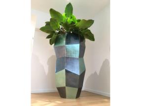 Plante