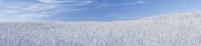 Comptabilité Agricole