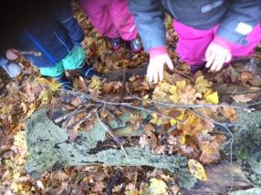 Découverte de la nature