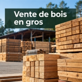 Vente de bois en gros