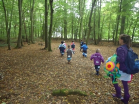 Sorties quotidiennes (forêt ou plaine de jeux)