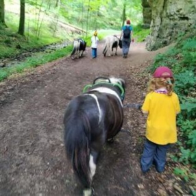 Ponywanderung