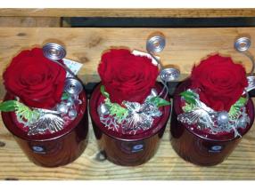 Composition St Valentin