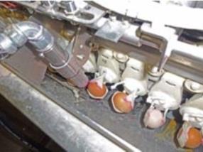 Codage des oeufs