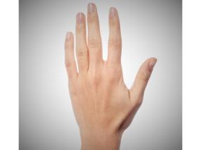 Rééducation de la main