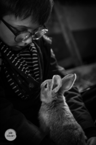 Des souvenirs inoubliables avec votre animal