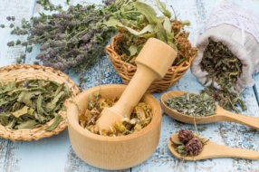 Phytotherapie