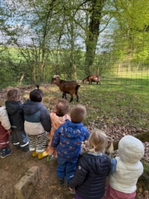 Nature, plein air et animaux au cœur du quotidien