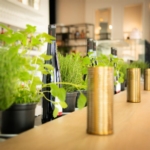 Article de L'Atelier Windsor
