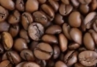 Artikel vu Knopes Artisan Torrefacteur