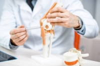 Article fromKohl Patrick (Dr)