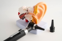 Artikel vu Nilles Robert J. (Dr)