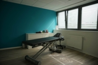 Artikel vonKnoll Ilona