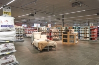 Article de Cactus Esch/Lallange