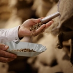 Artikel vu Novadelta Luxembourg Sàrl